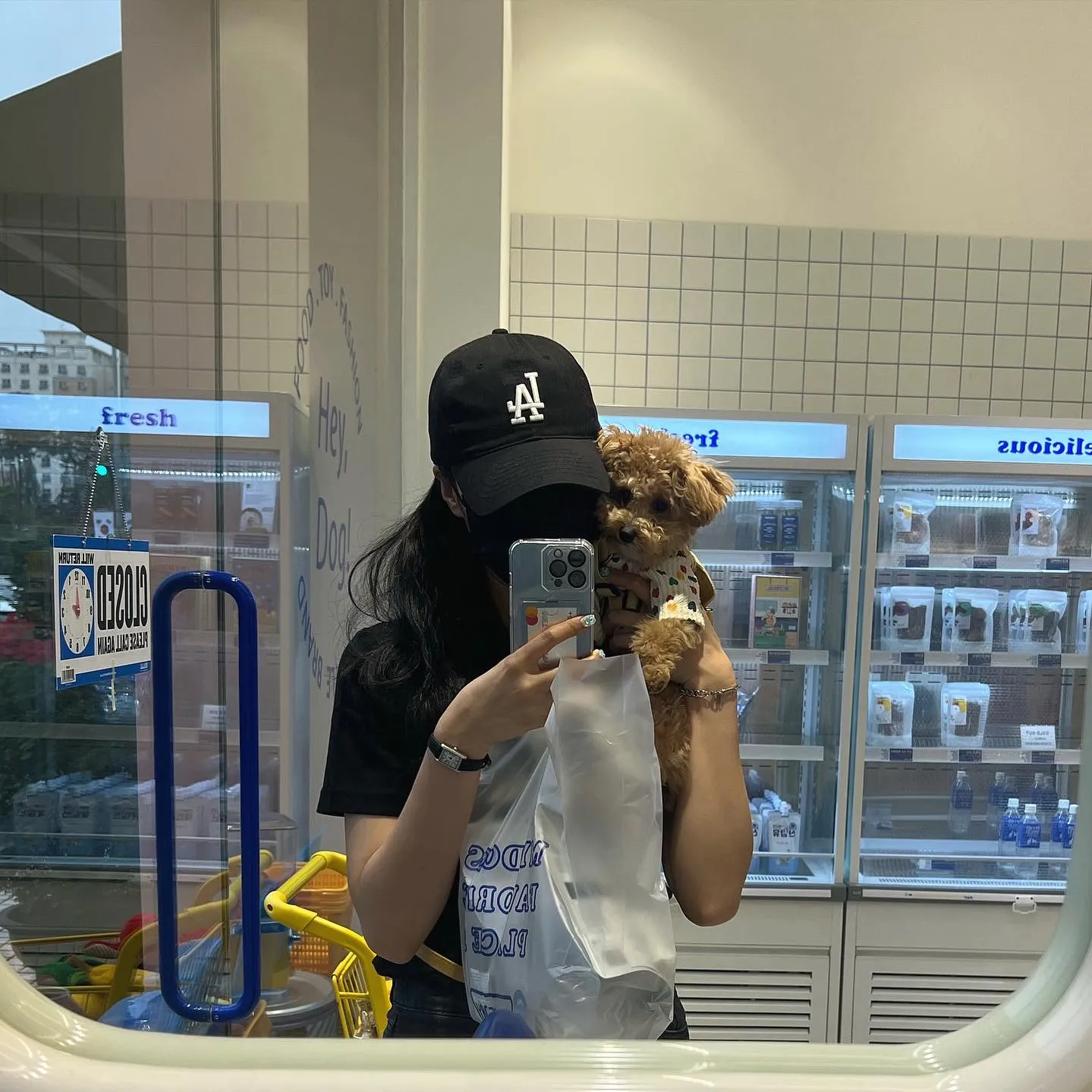 이미지 5