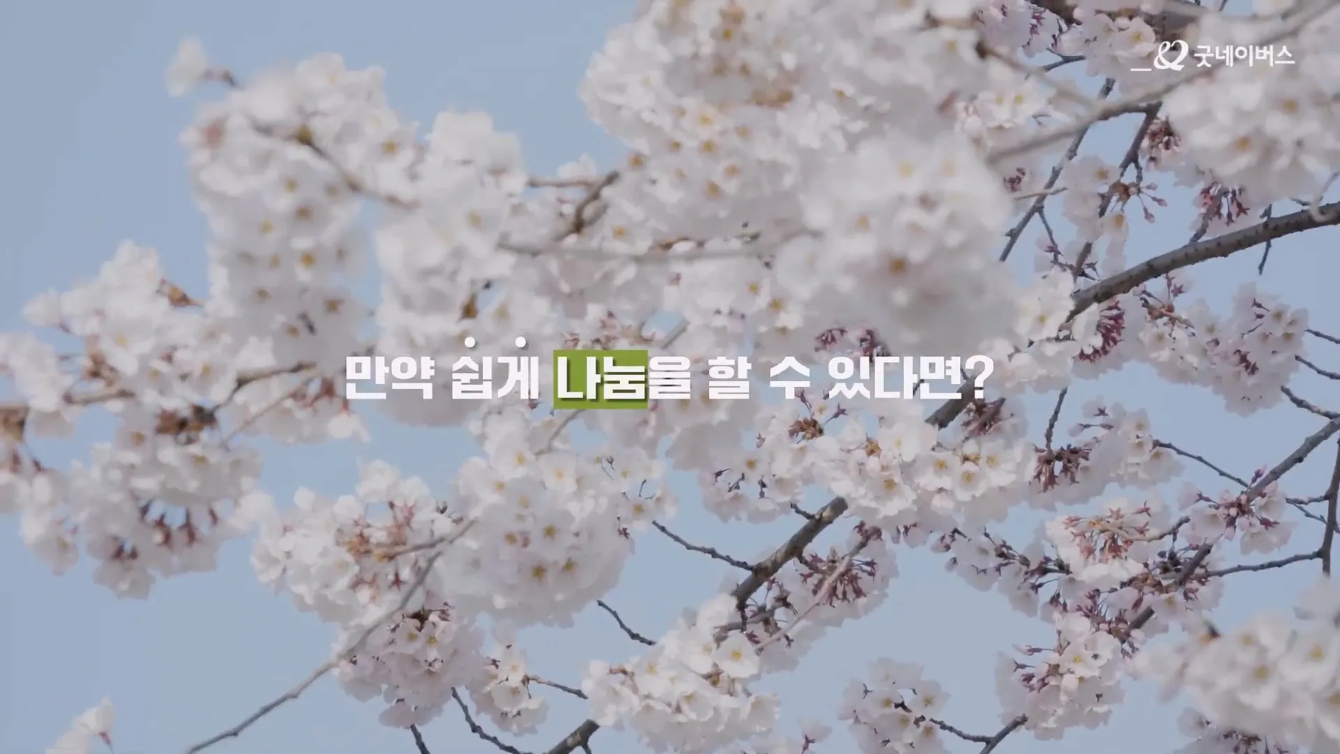 이미지 8