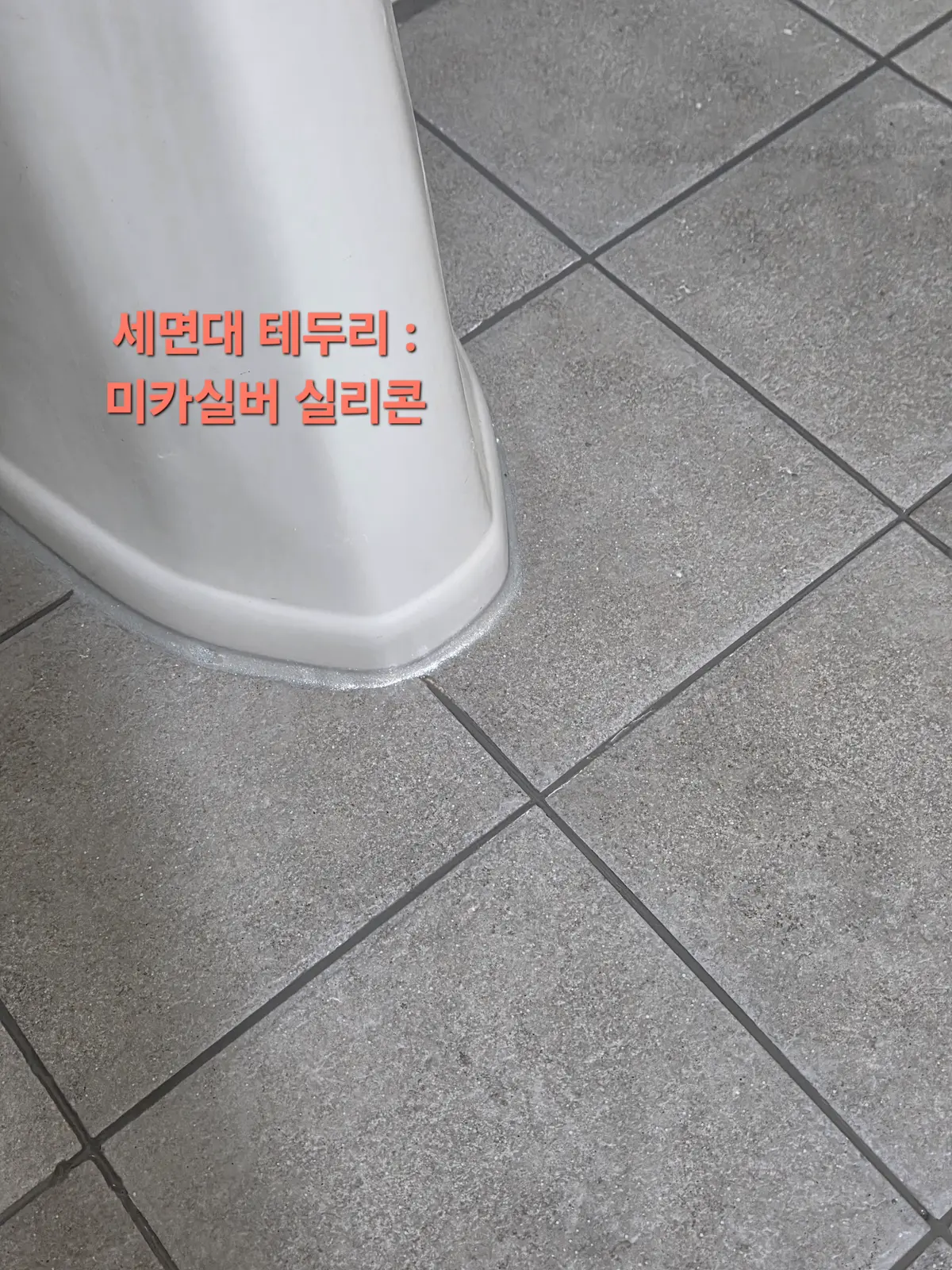 이미지 12