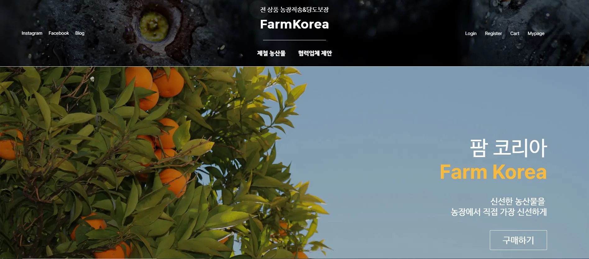 포트폴리오 이미지