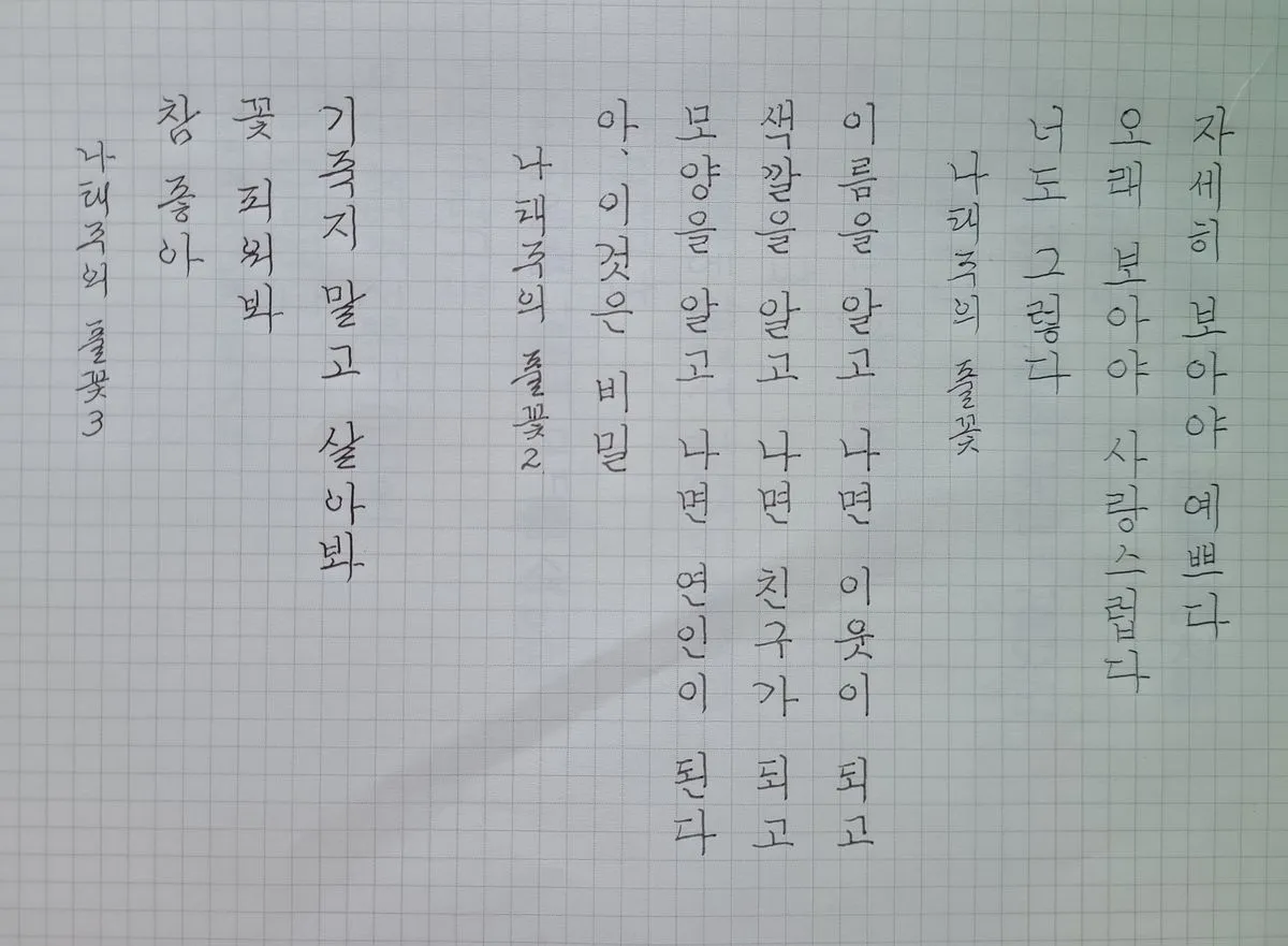 이미지 6