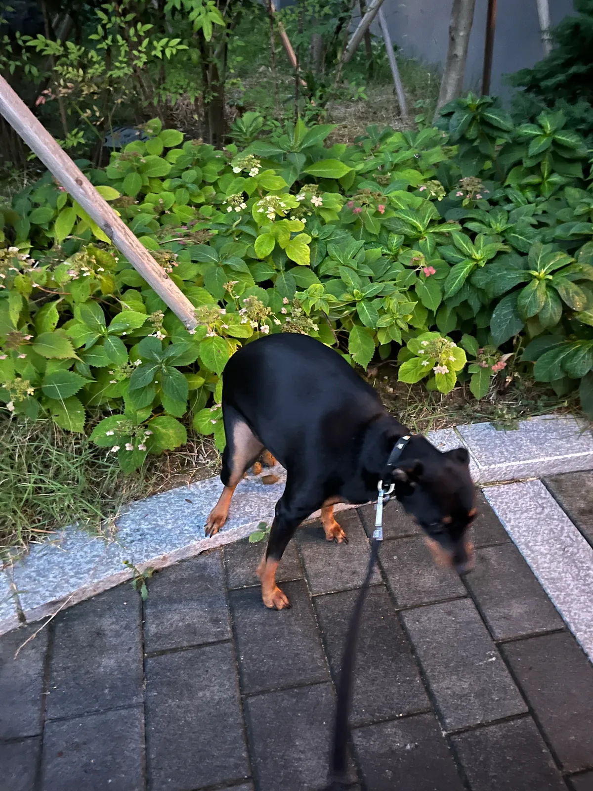 이미지 8