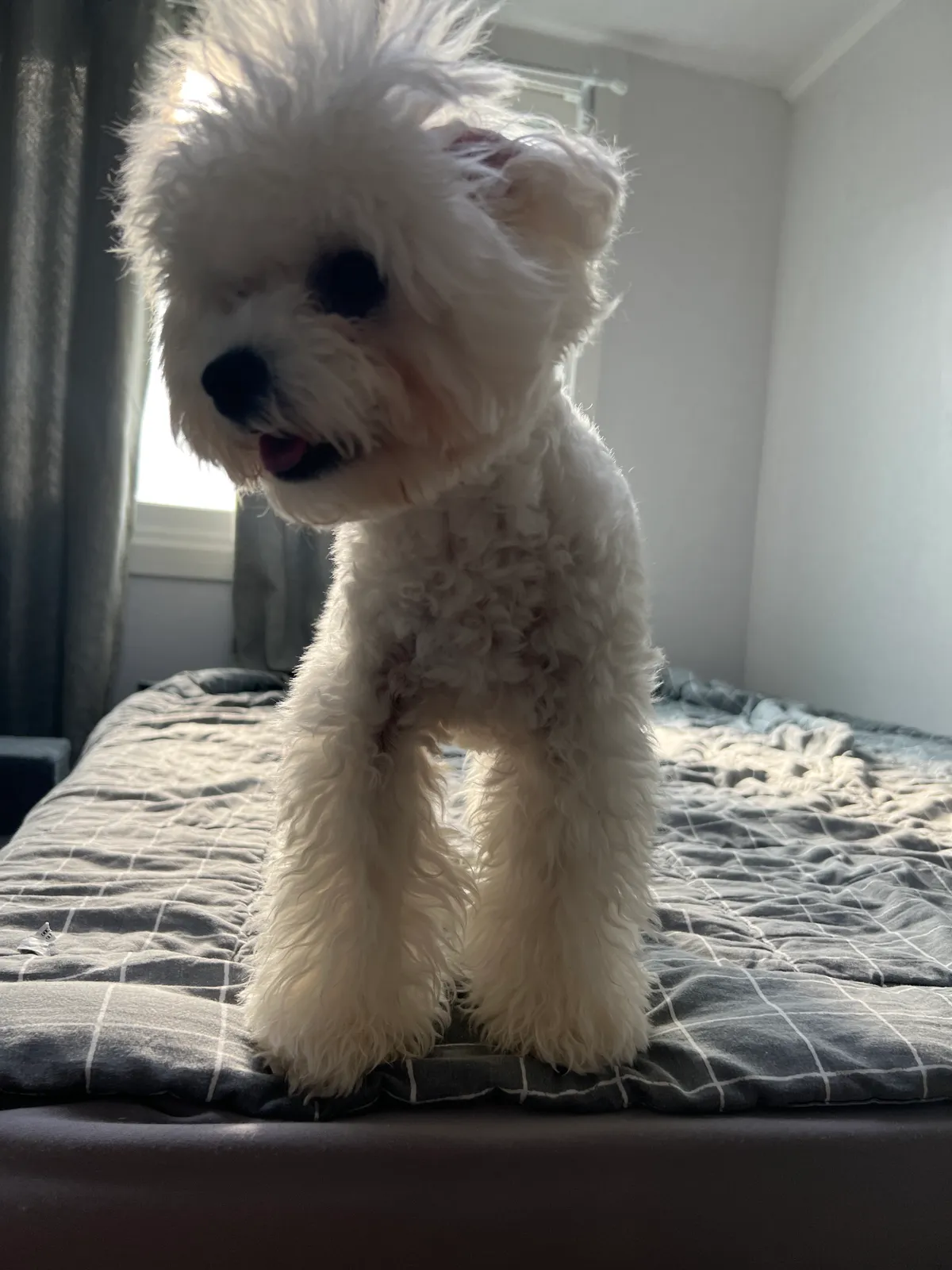 이미지 9