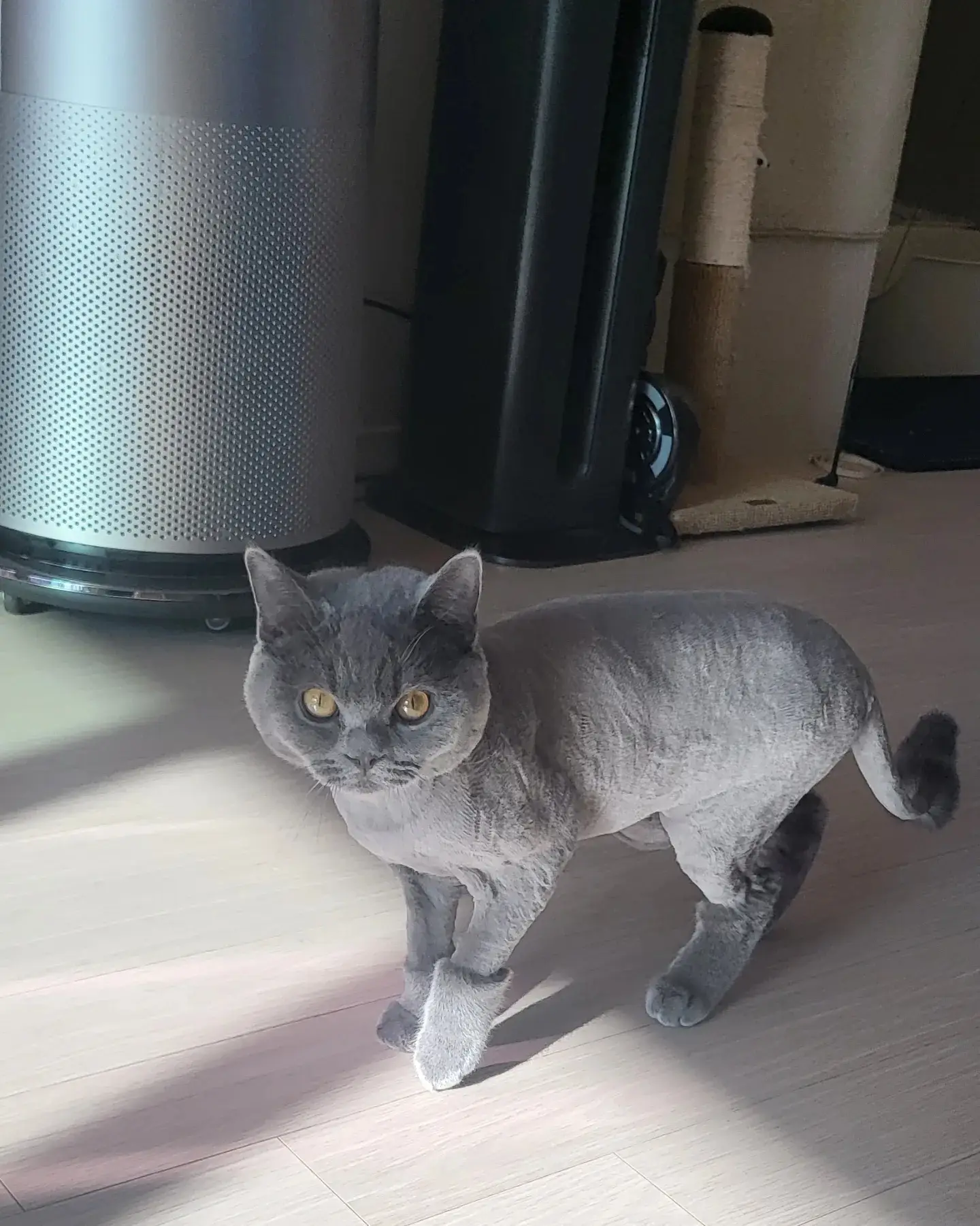 이미지 3