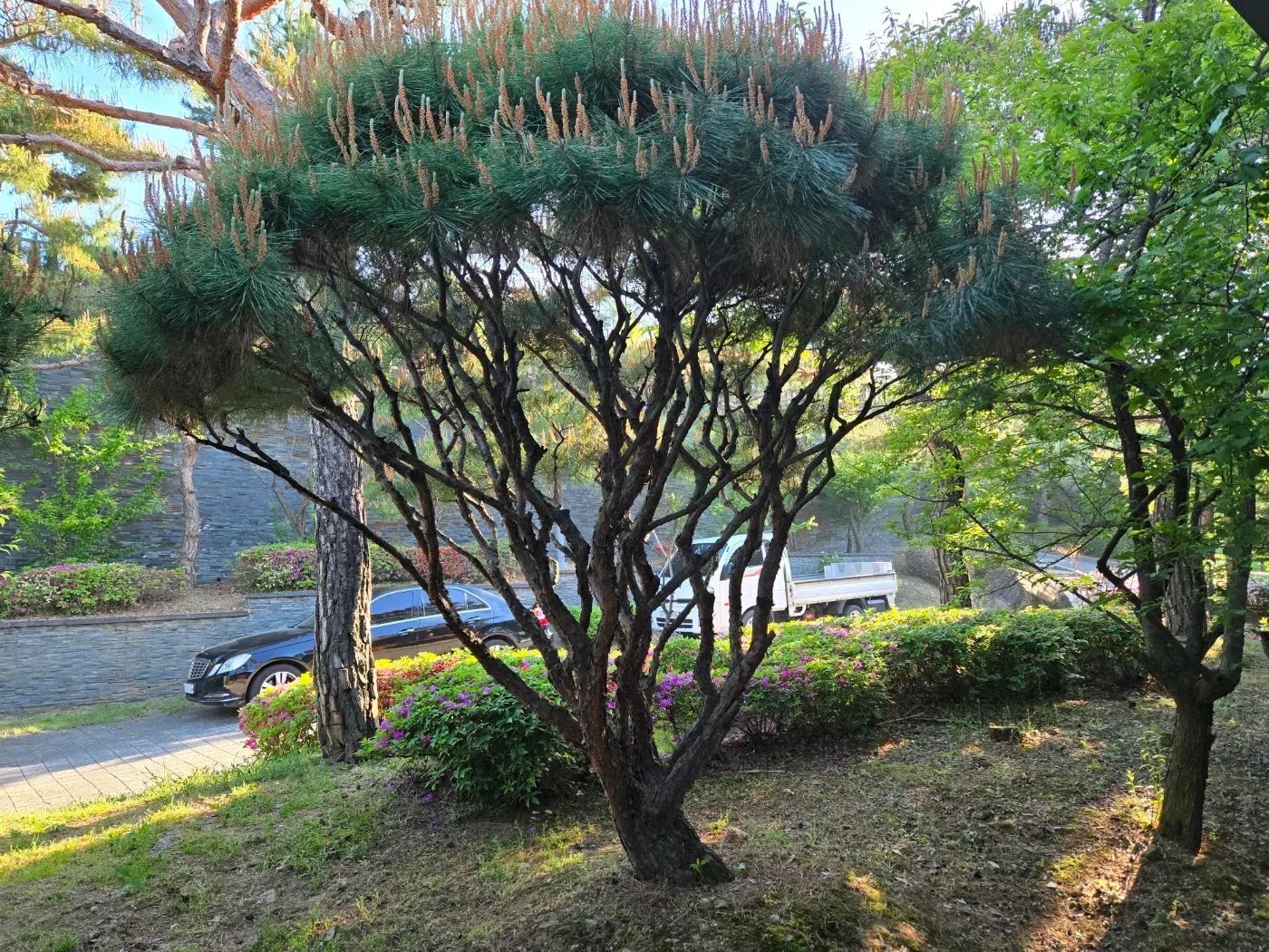 이미지 10