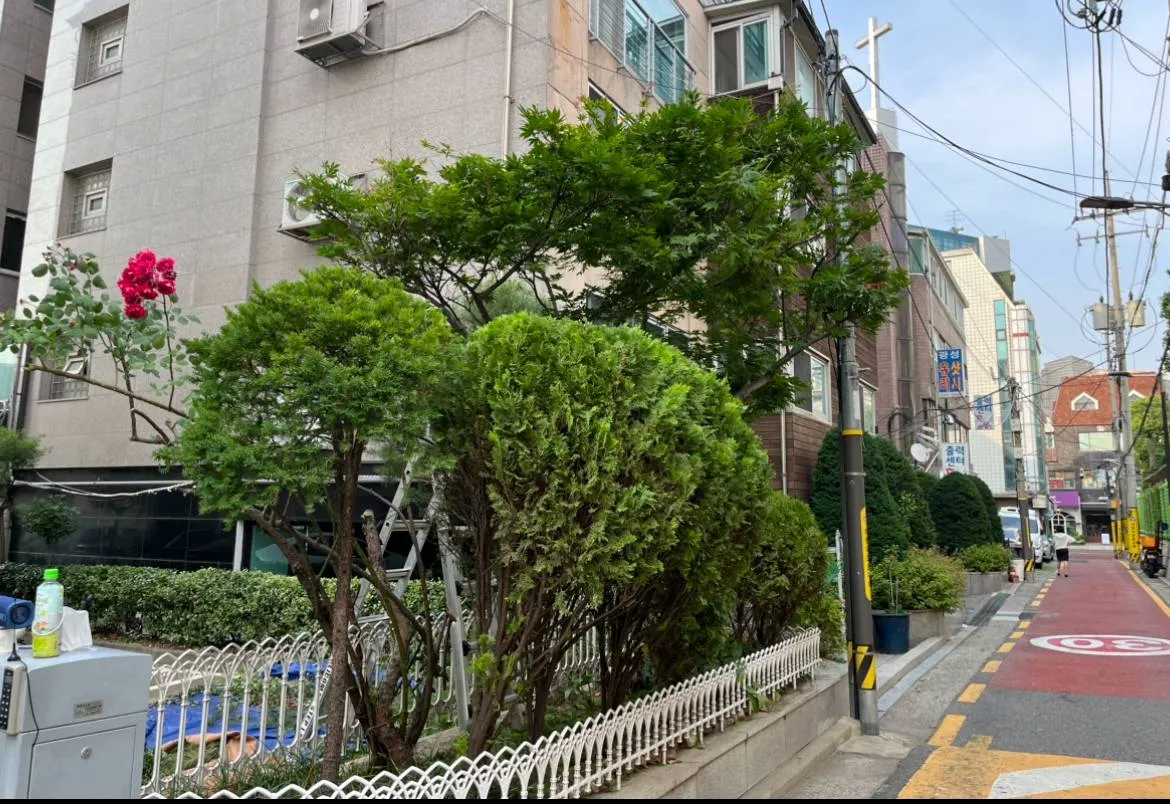 이미지 14
