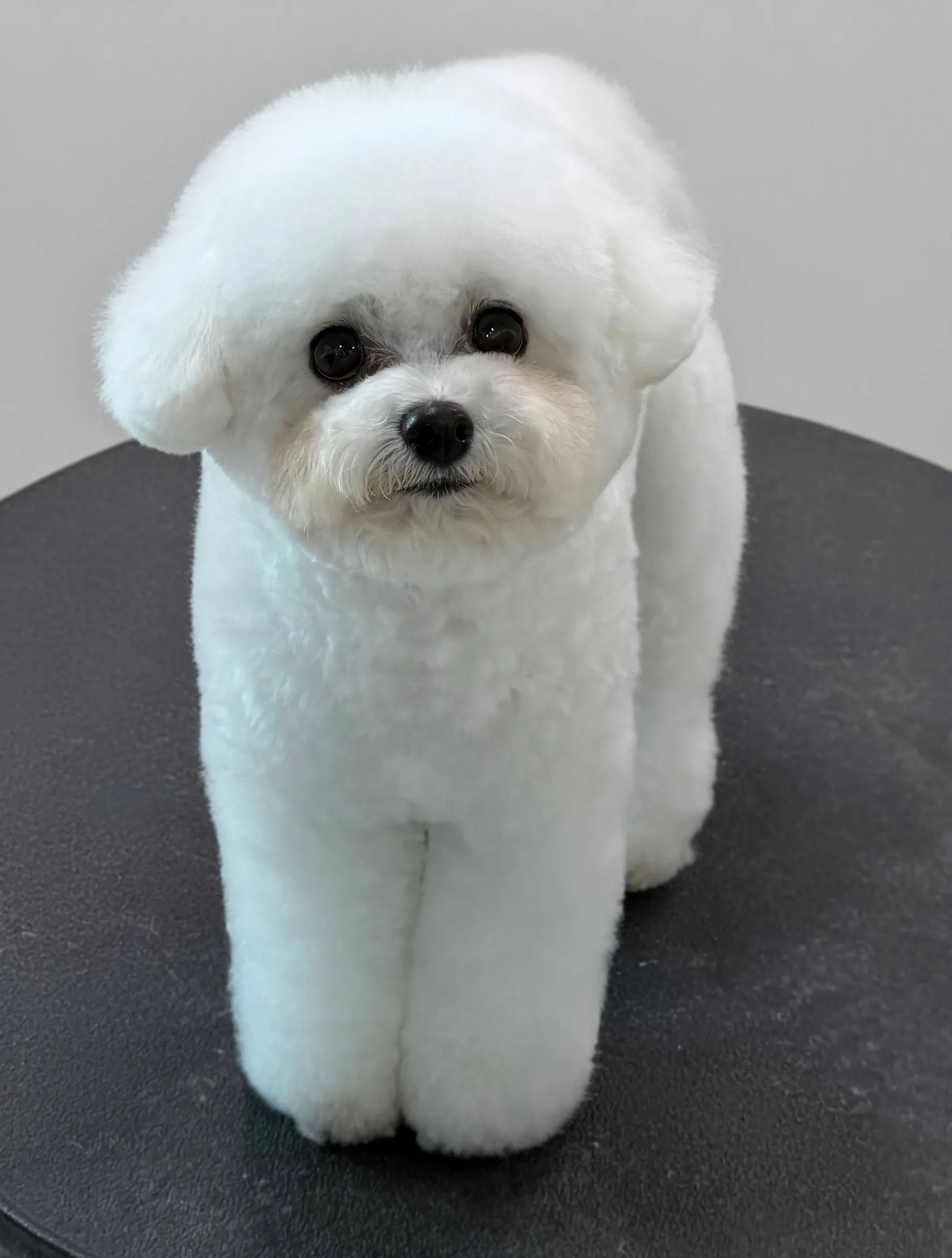 이미지 22