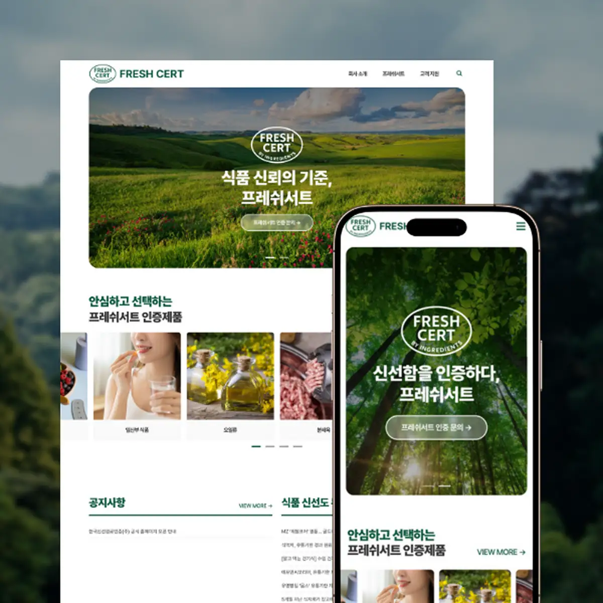 포트폴리오 이미지