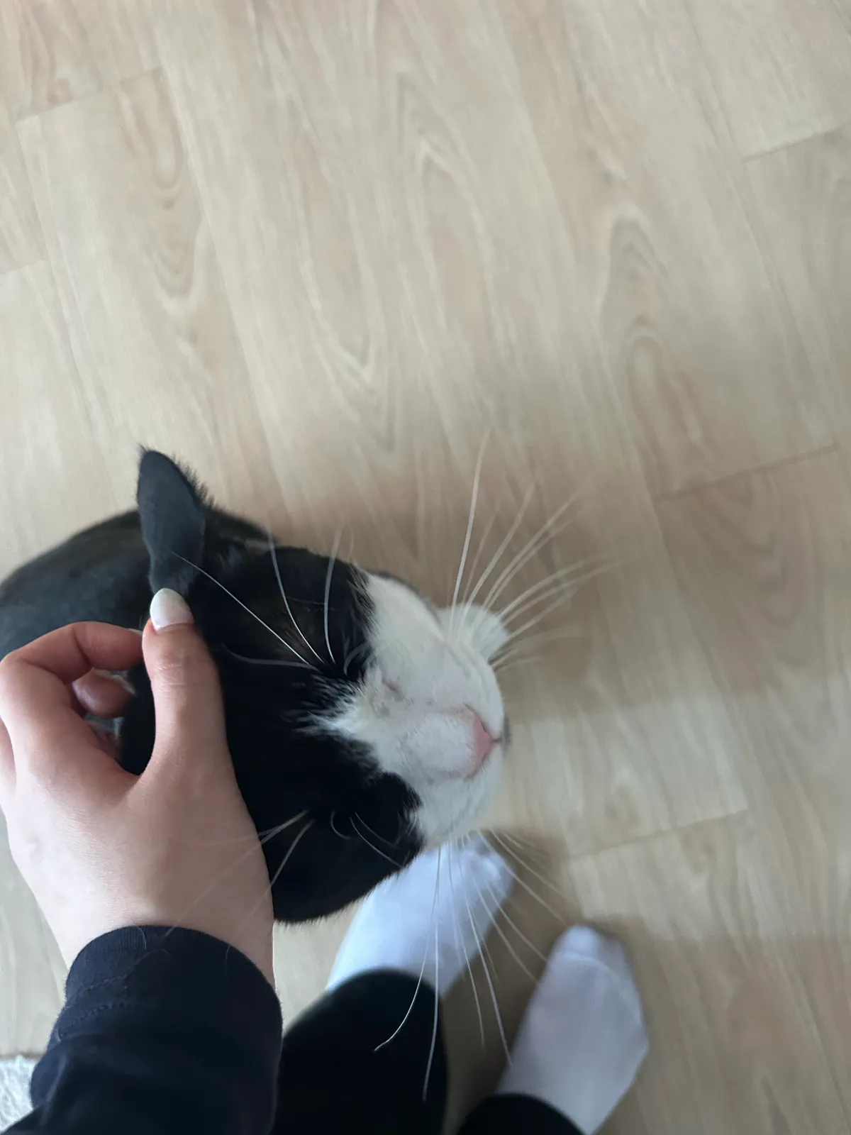 이미지 3