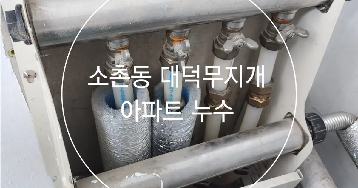 광주 소촌동 대덕무지개아파트 누수 탐지 및 종합설비 / 대성이엔지 - 숨고, 숨은고수 광주 소촌동 대덕무지개아파트 누수 탐지 및 종합설비
