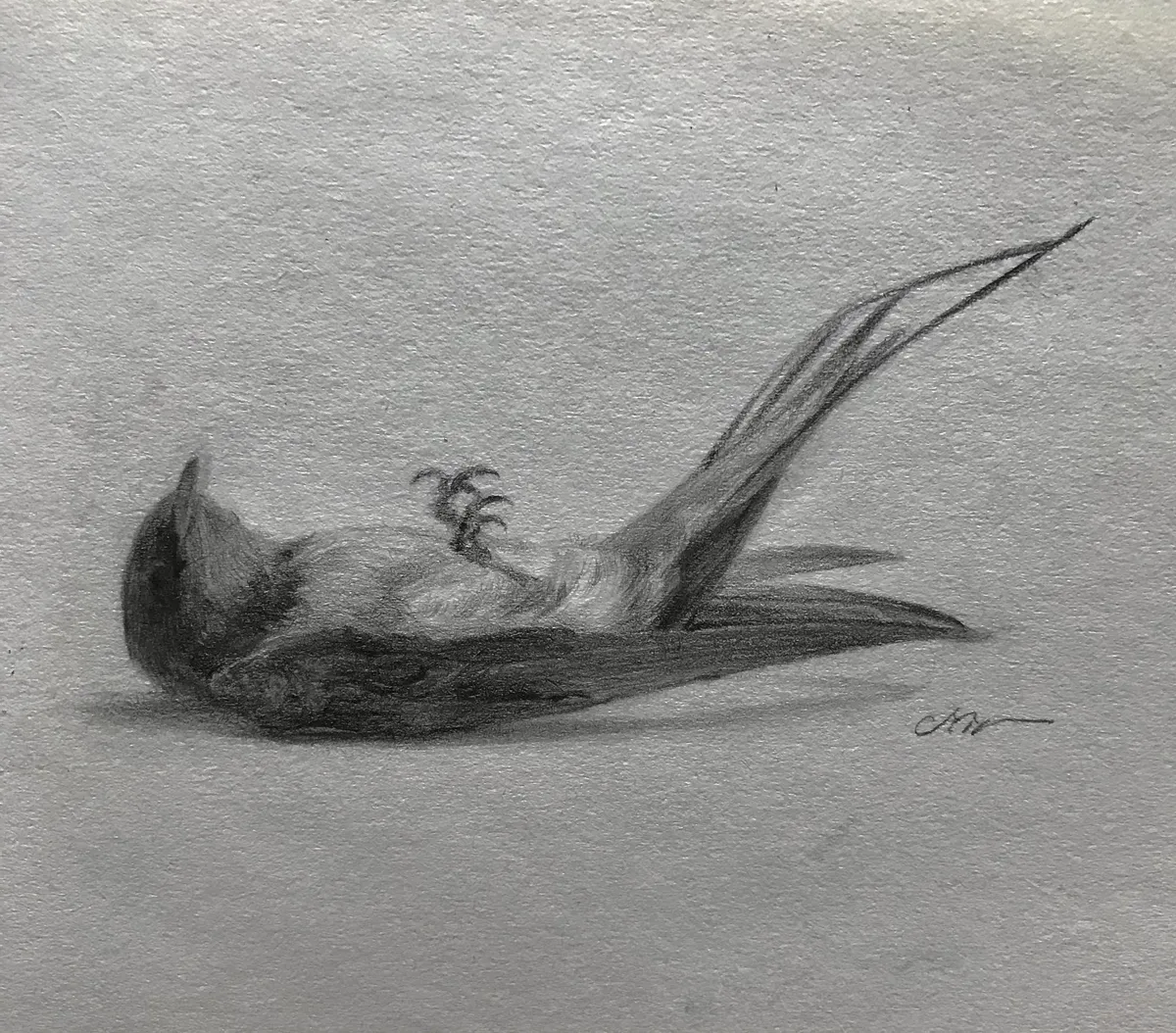 이미지 8