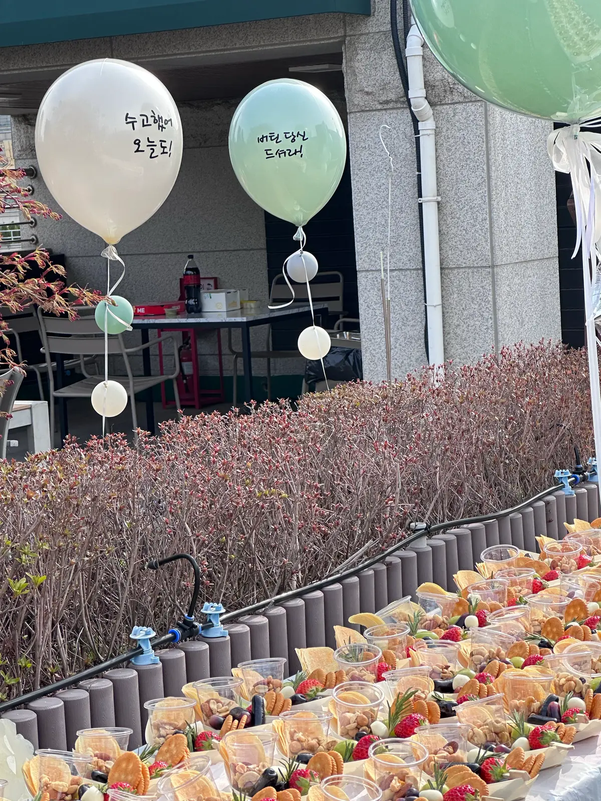 이미지 22