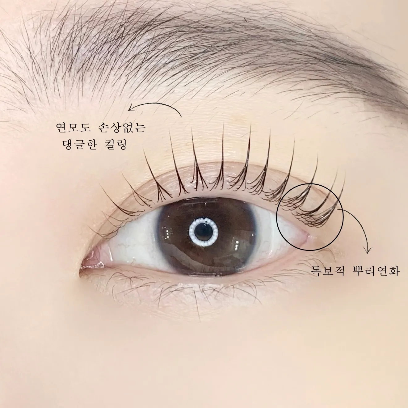 이미지 6