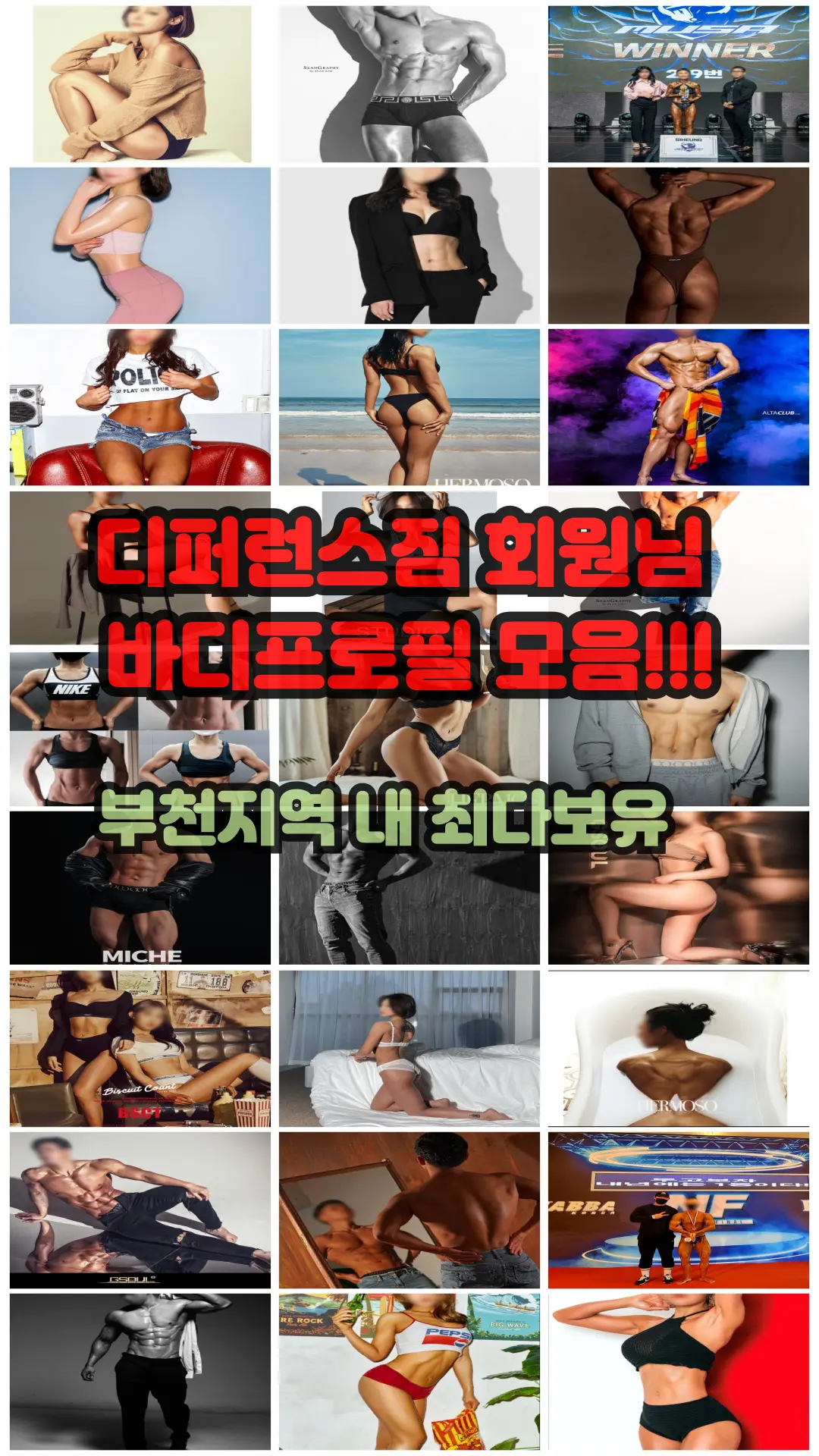 이미지 12