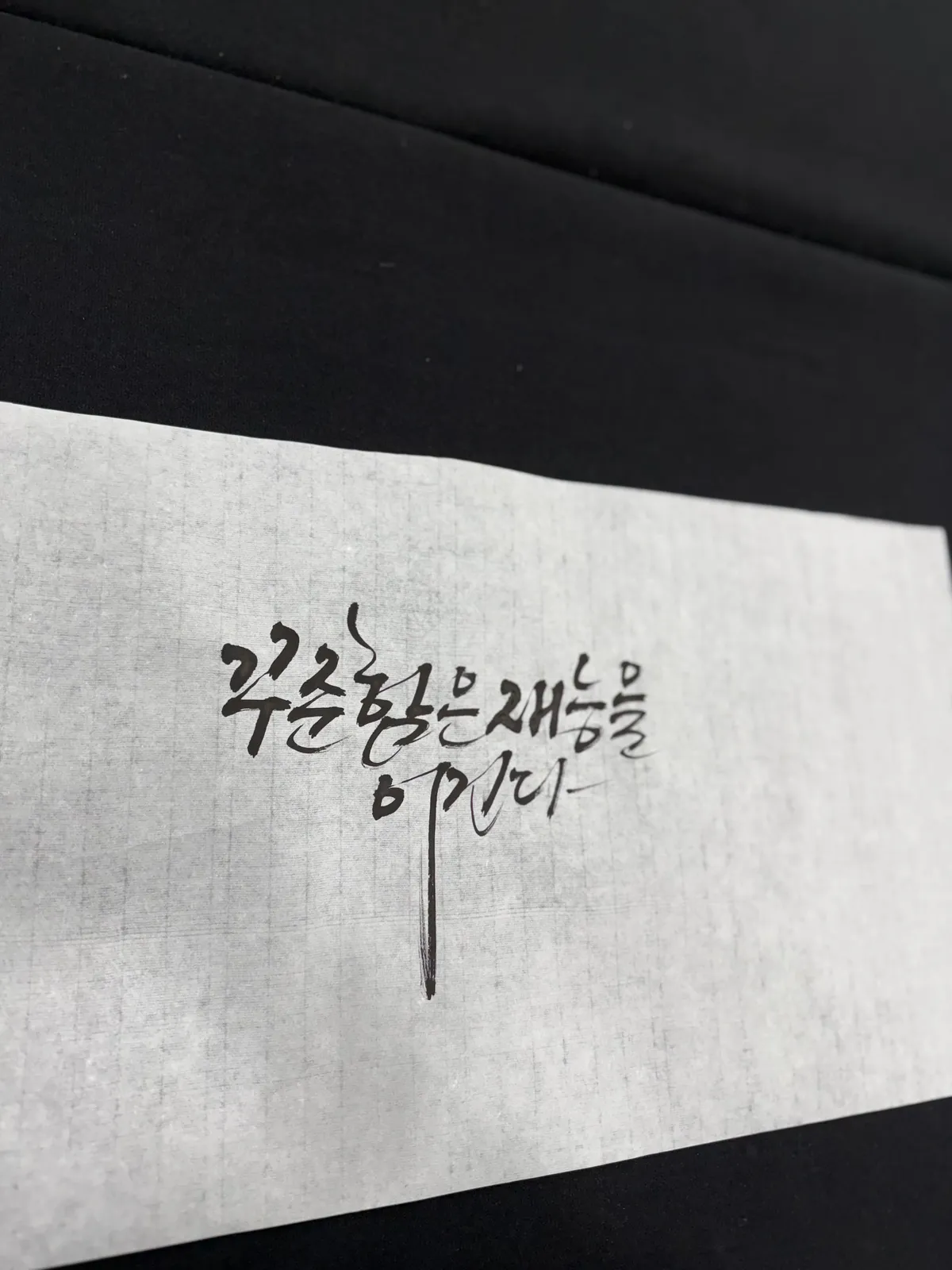 이미지 12