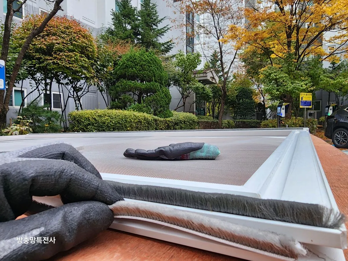 이미지 20