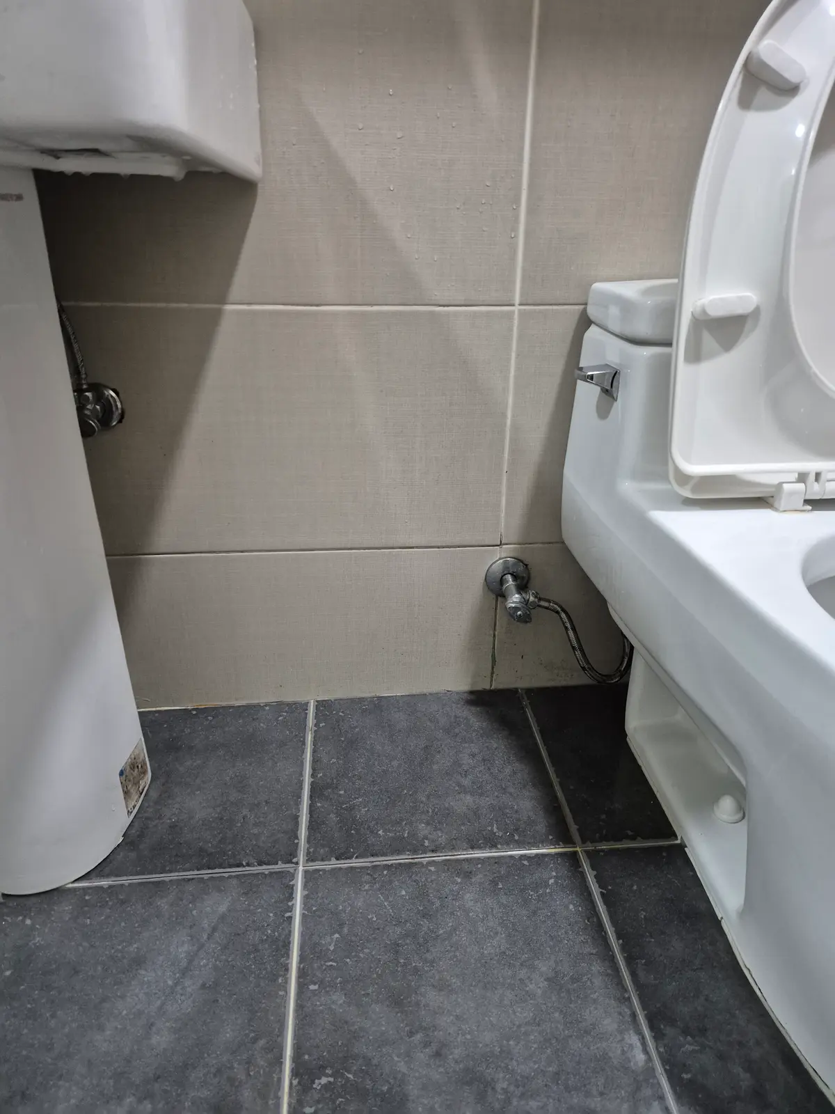 이미지 12