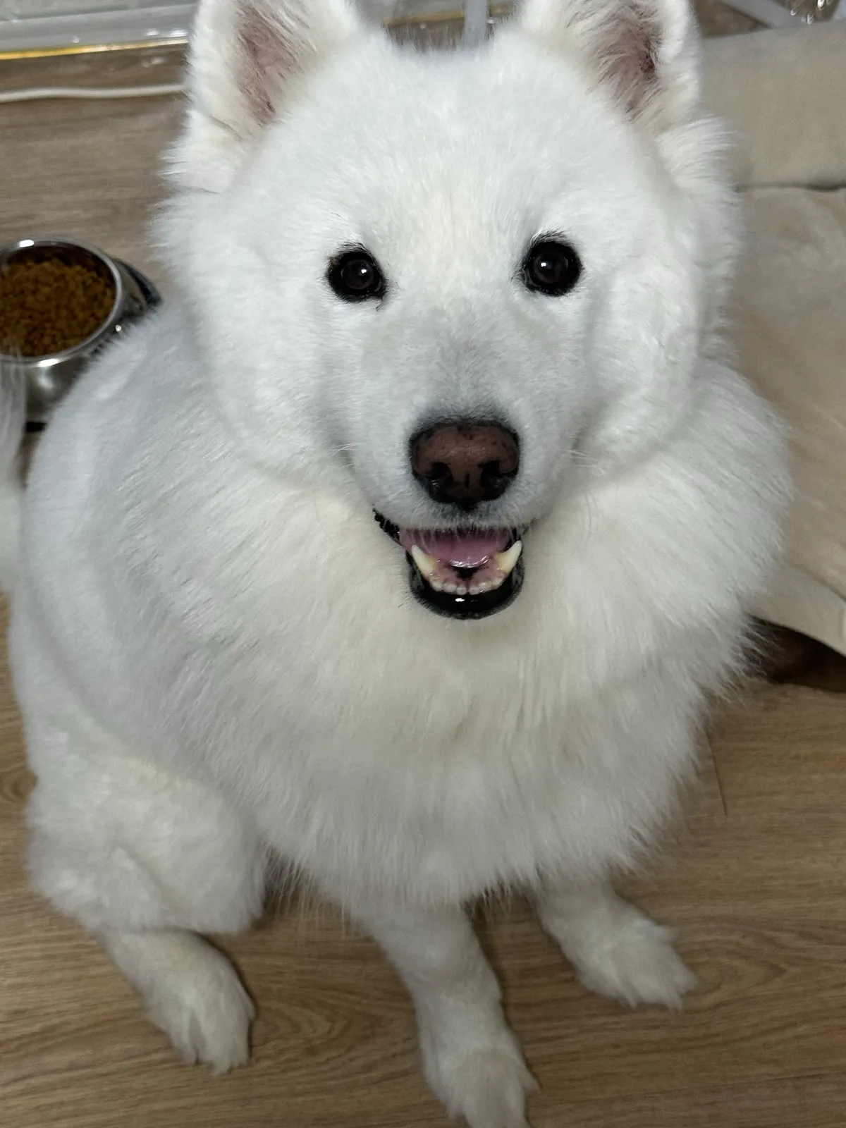 이미지 9