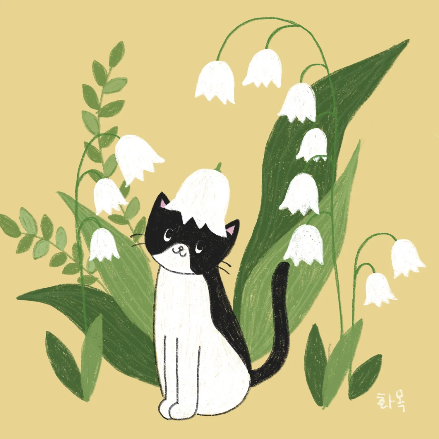 이미지 8