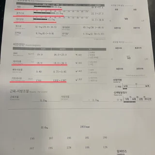 스트렝스 , 근육량증가 100% 이뤄드립니다!