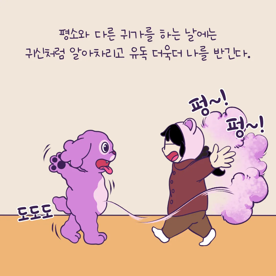 이미지 9