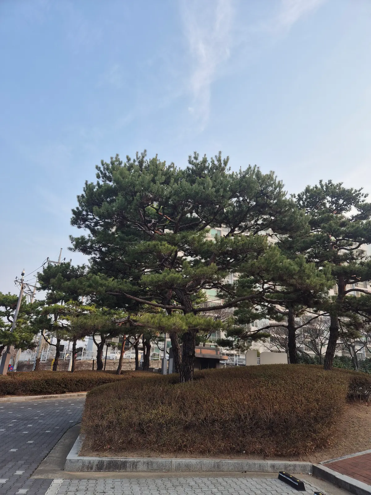 이미지 2