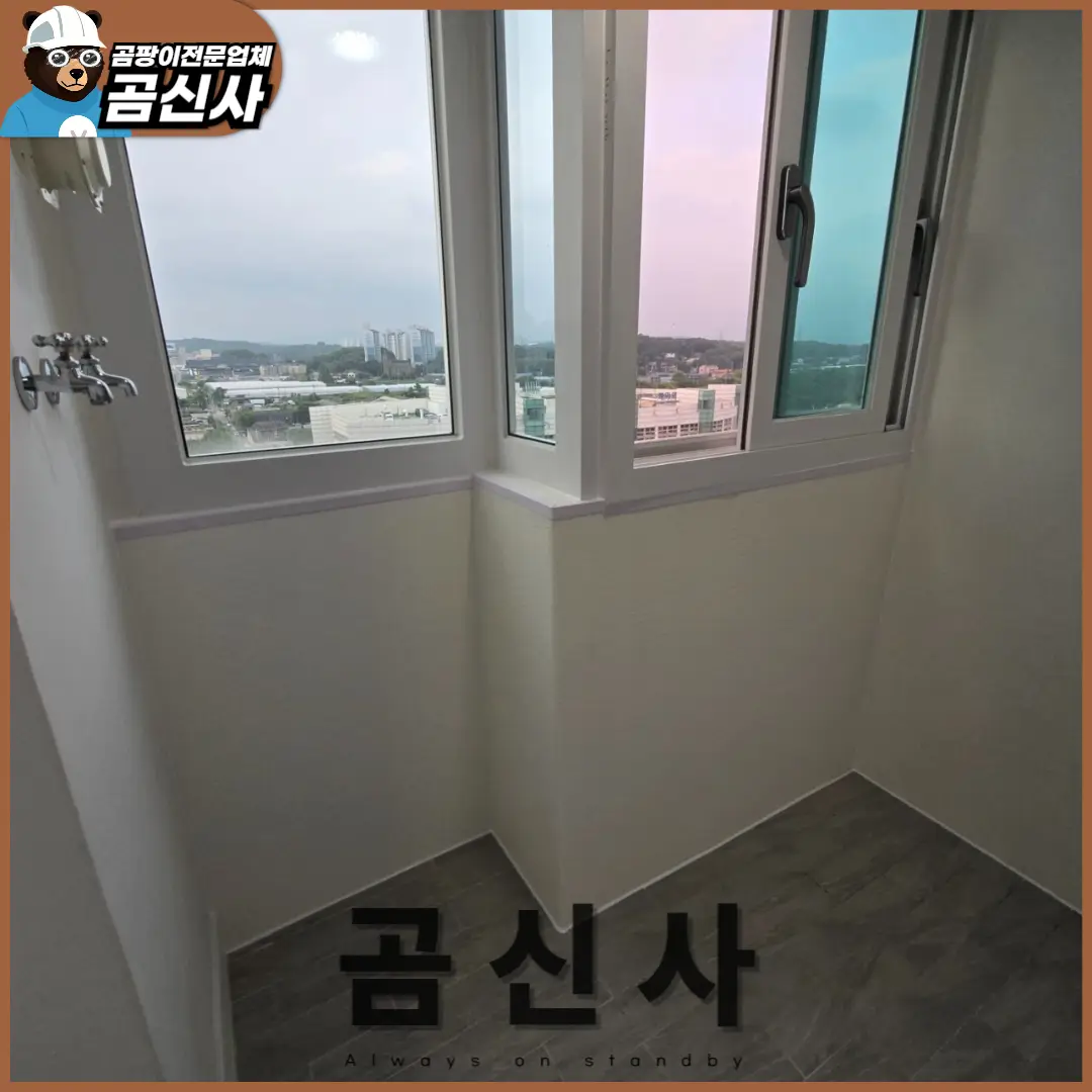이미지 10