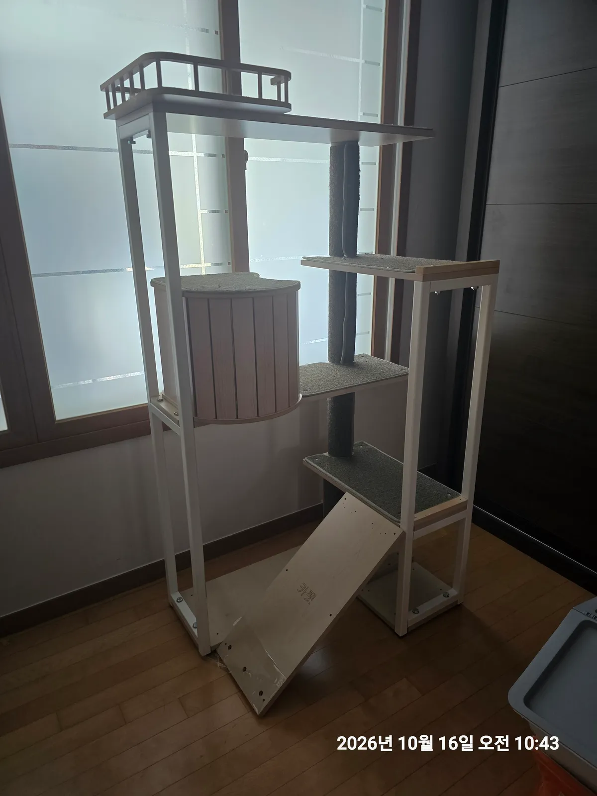 이미지 9
