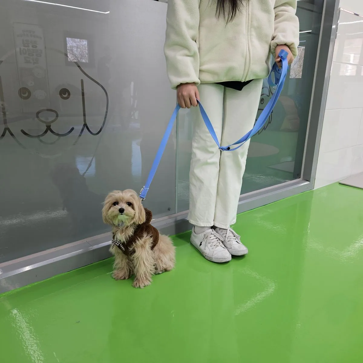 이미지 6