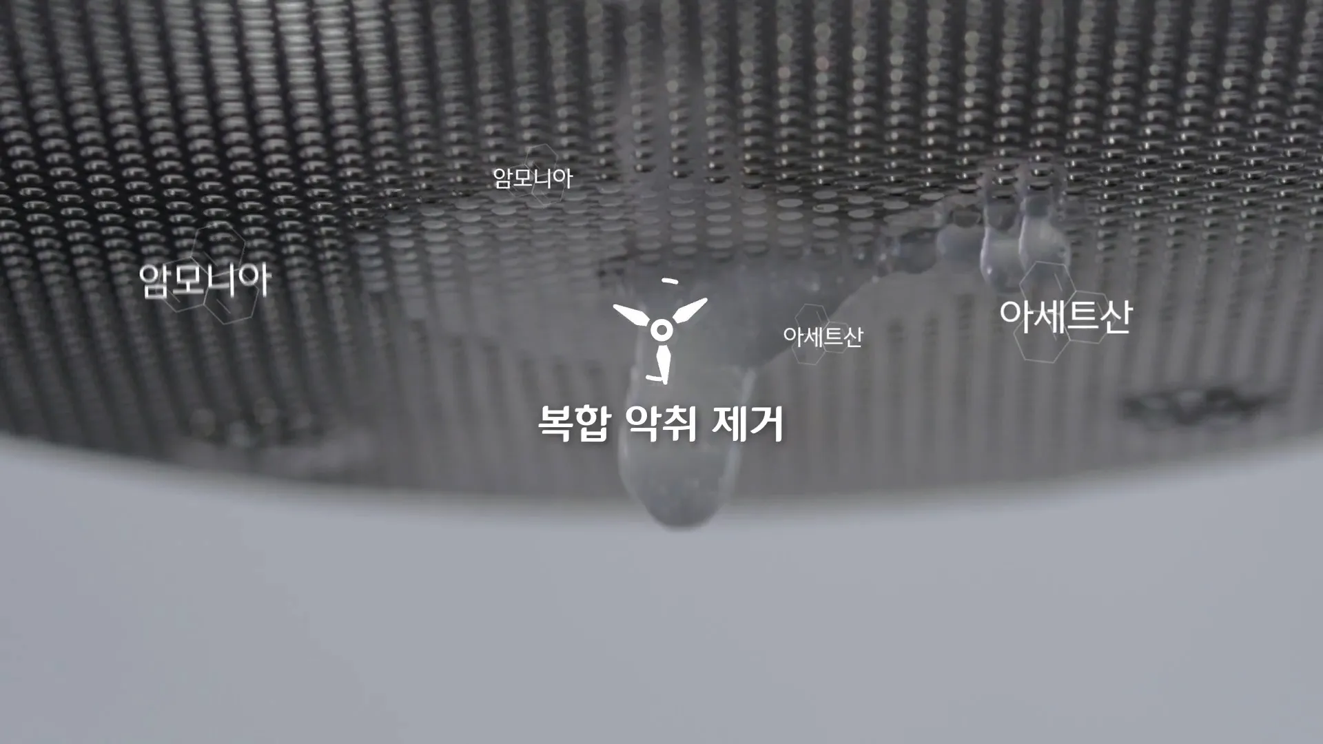 이미지 10