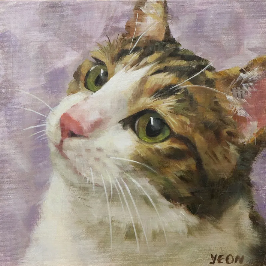 이미지 6