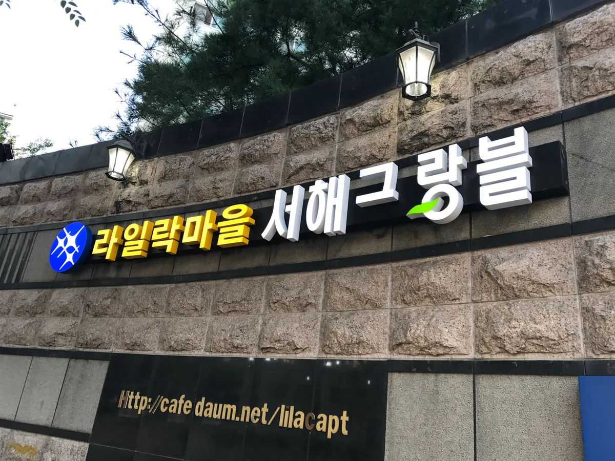 이미지 14