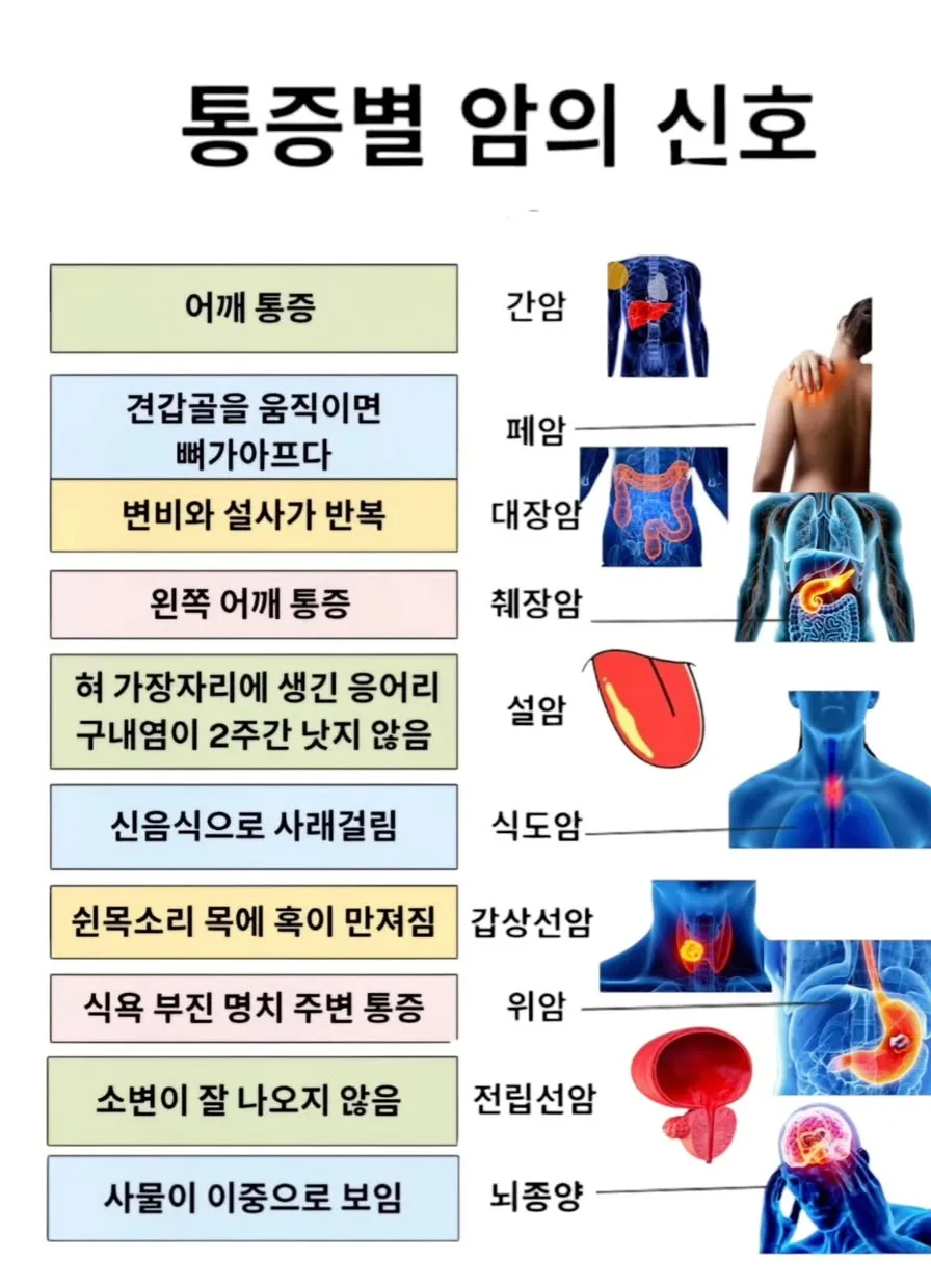이미지 4
