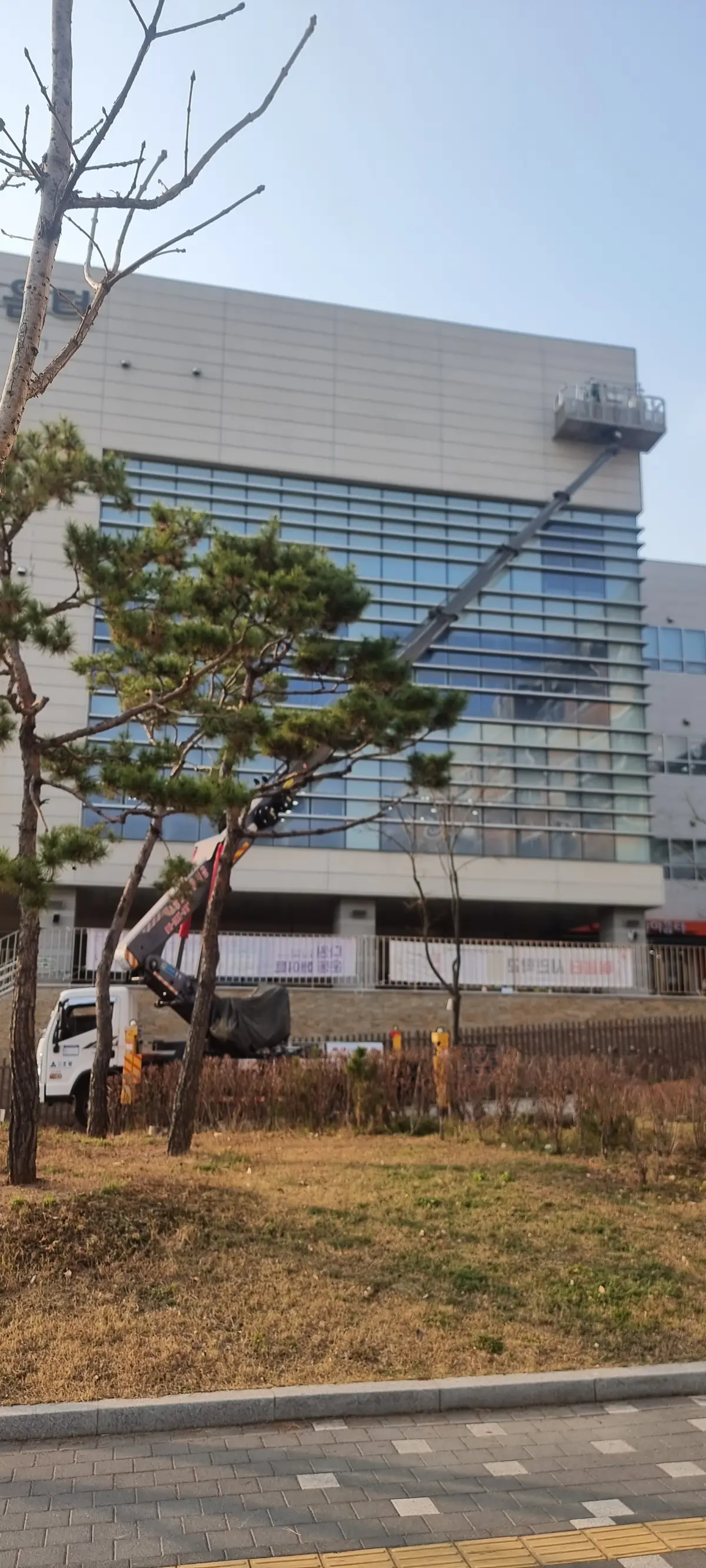 이미지 3