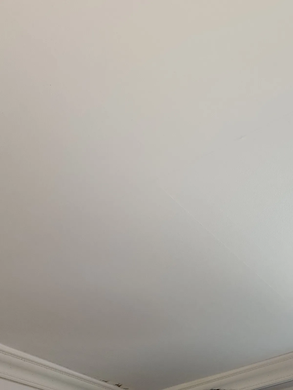 이미지 10