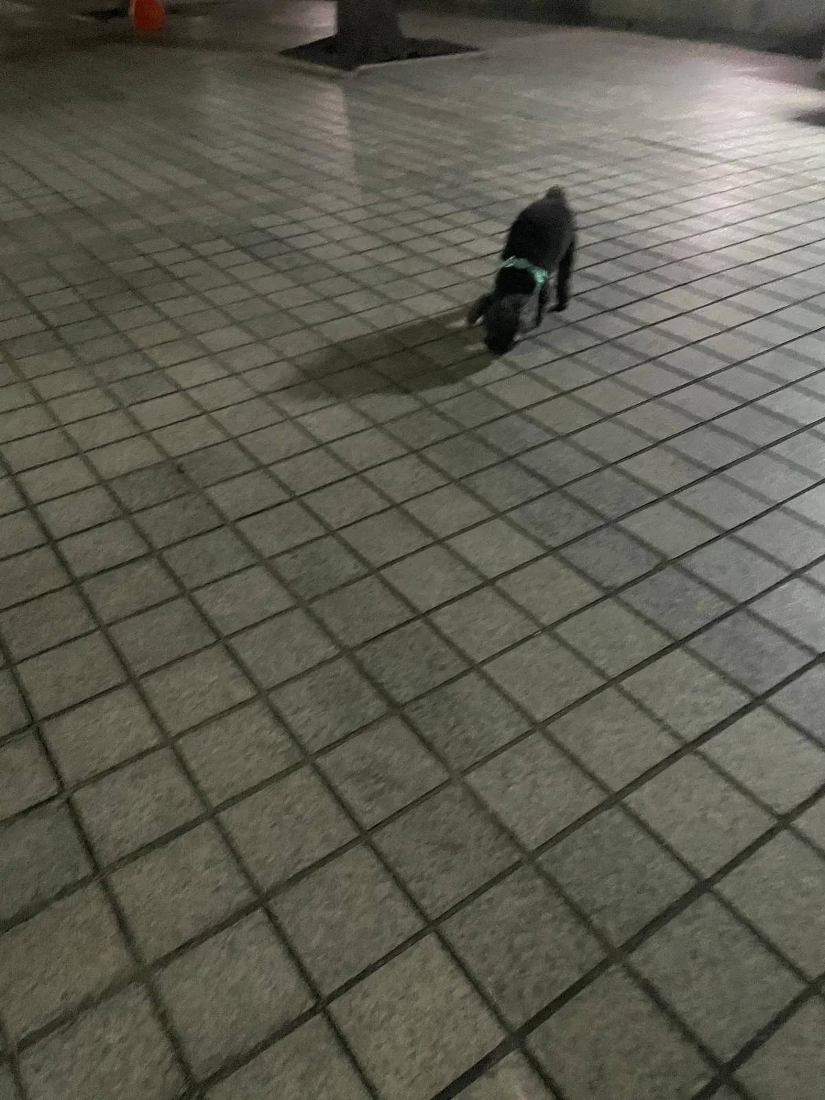 이미지 9