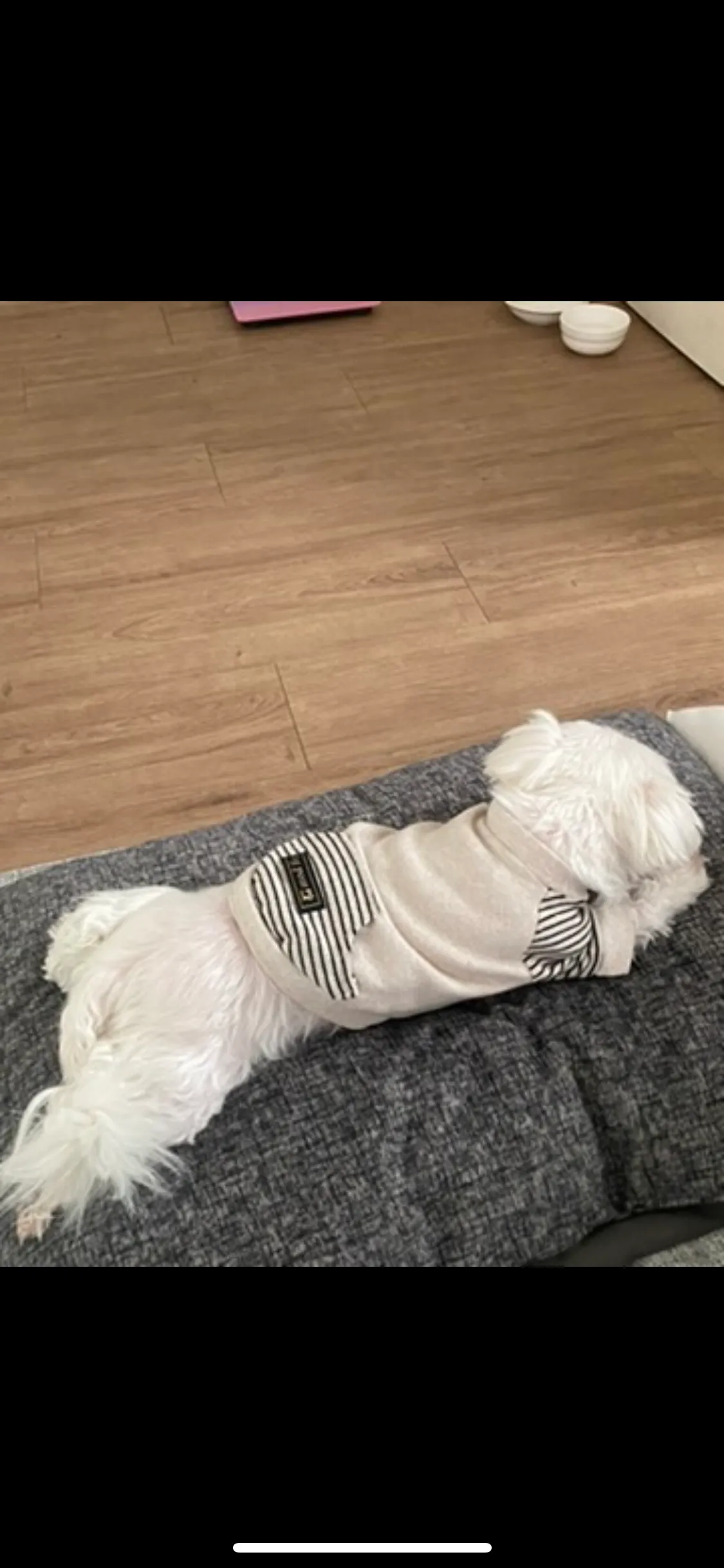 이미지 7