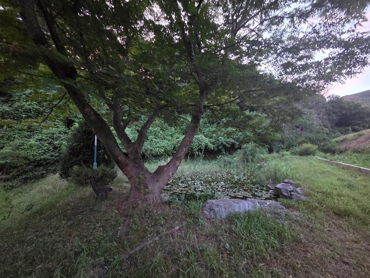 이미지 8