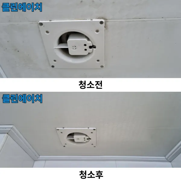 이미지 5