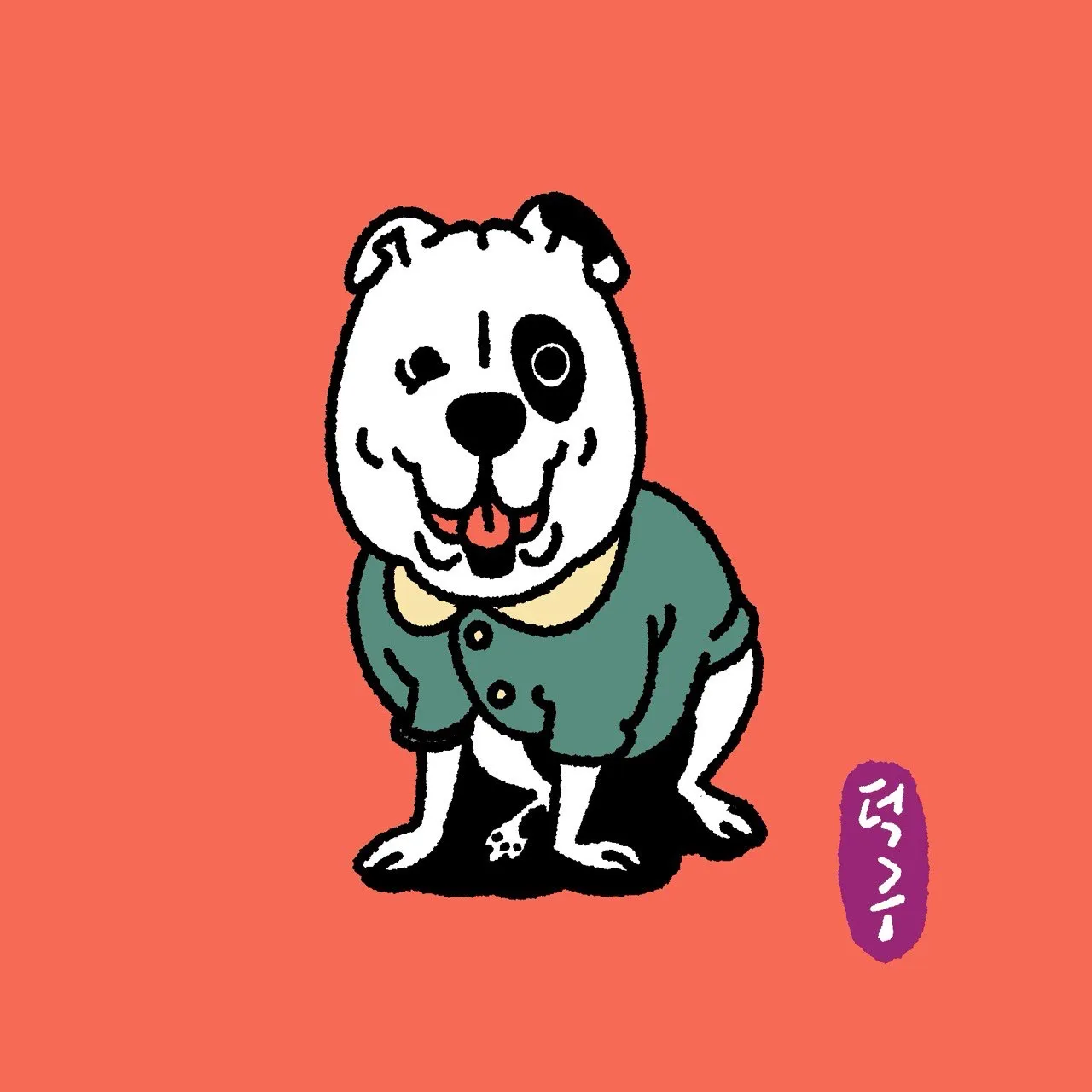 이미지 12