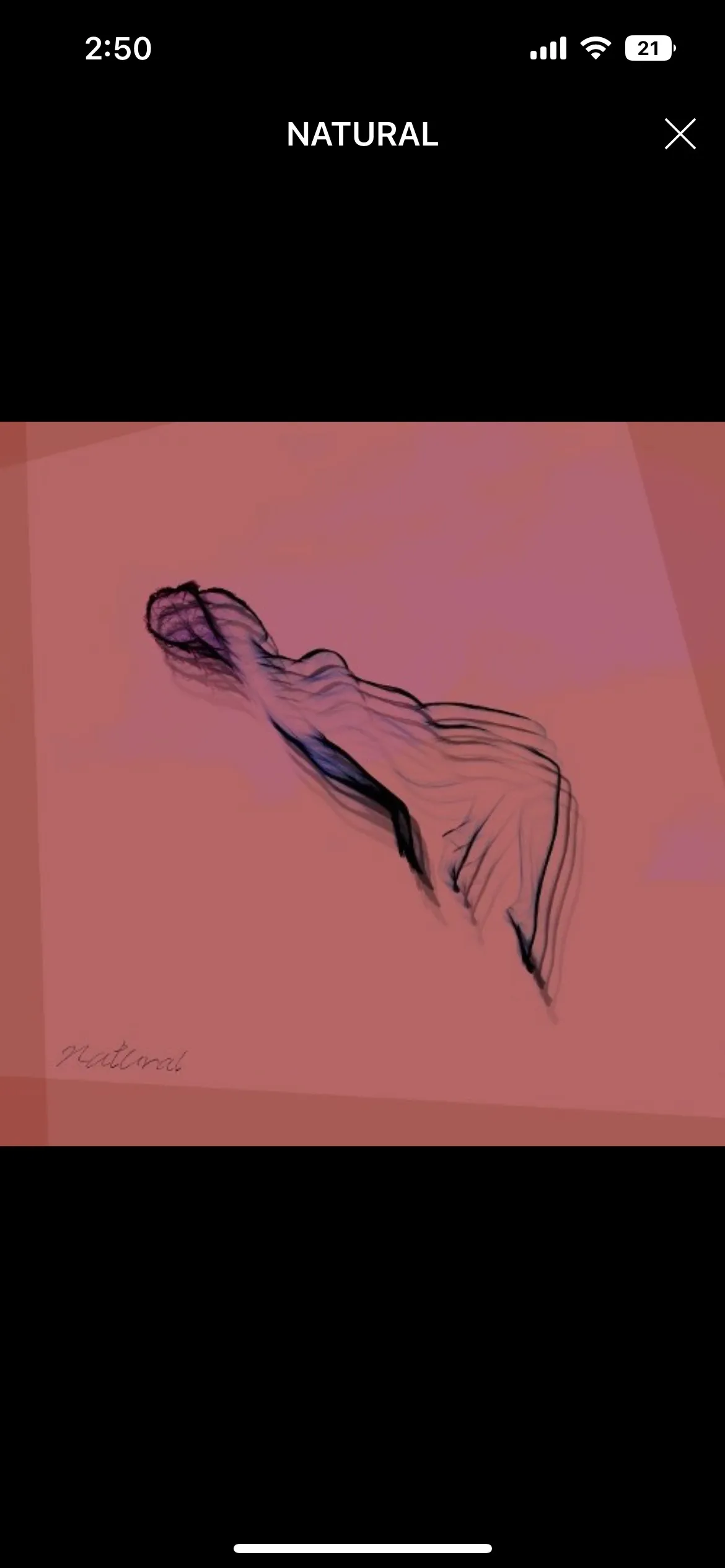 이미지 5