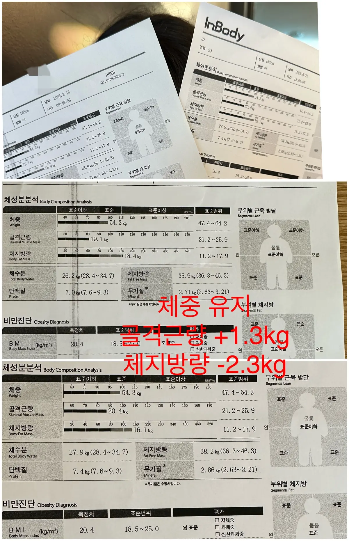 이미지 5