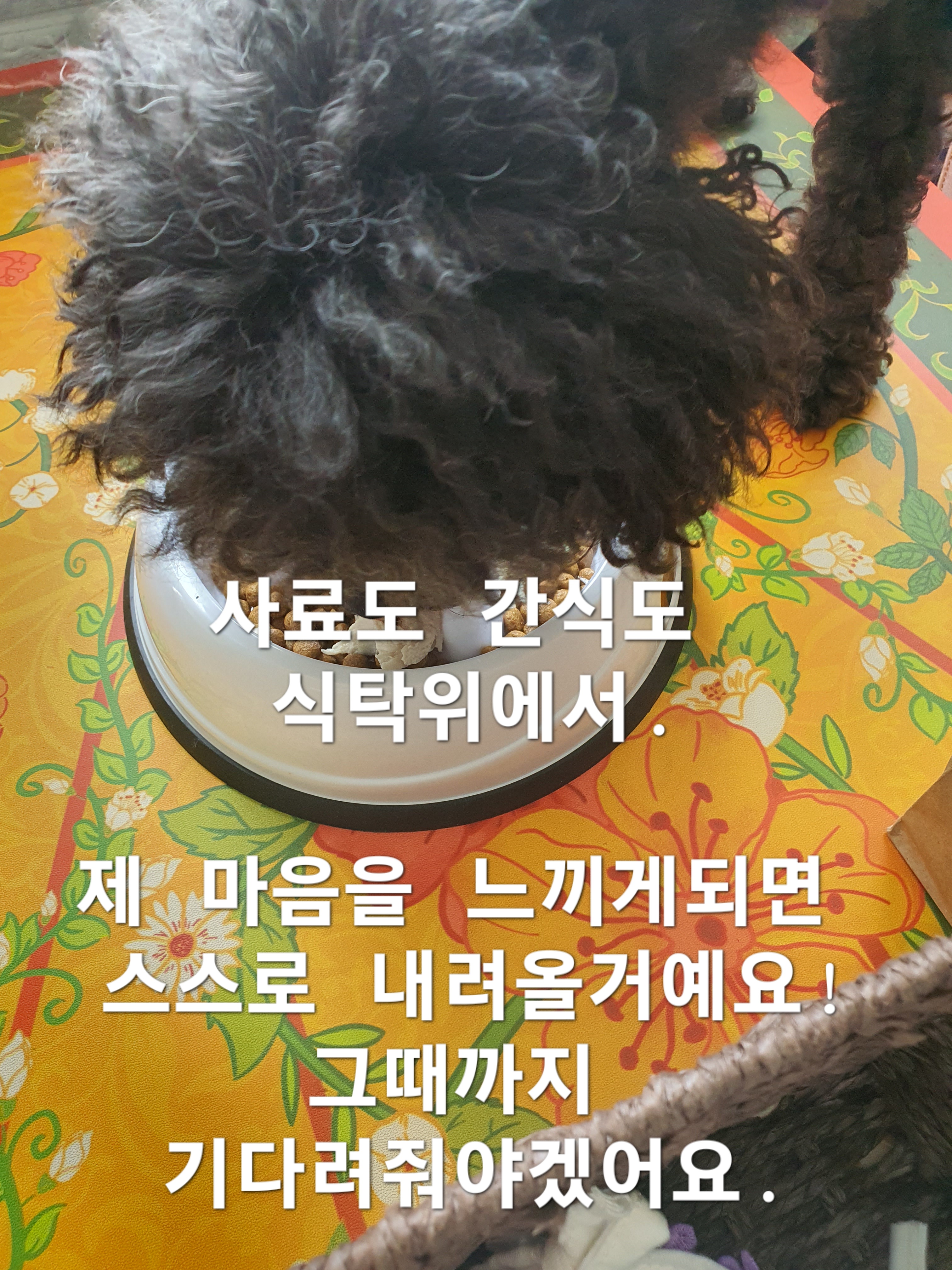 이미지 4