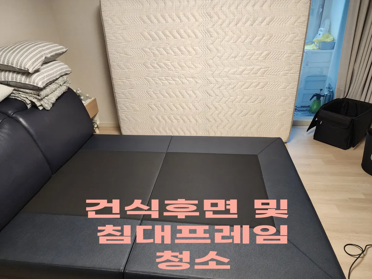 이미지 5