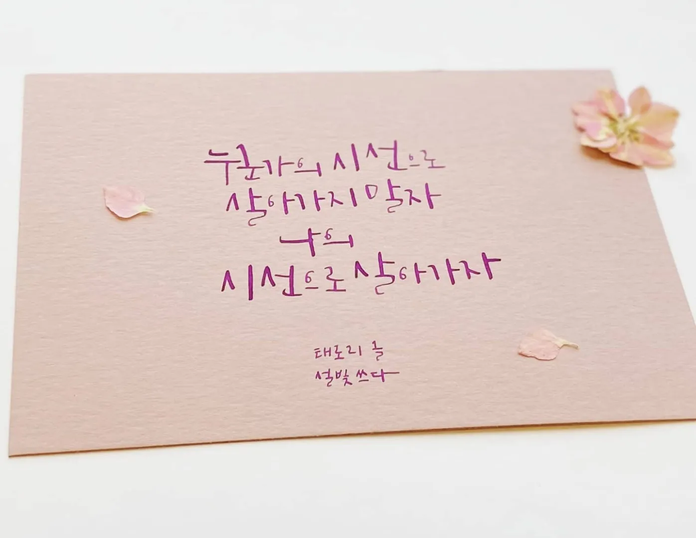 이미지 5