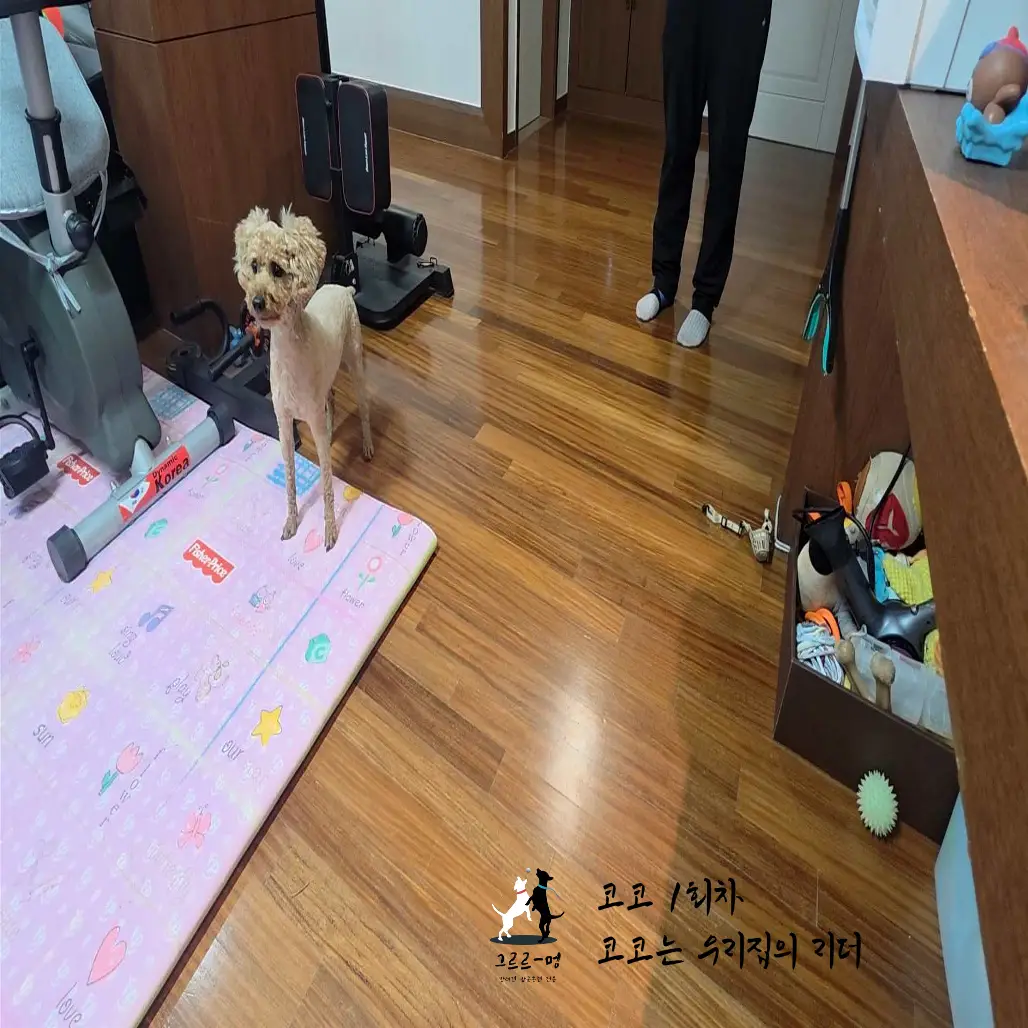이미지 4