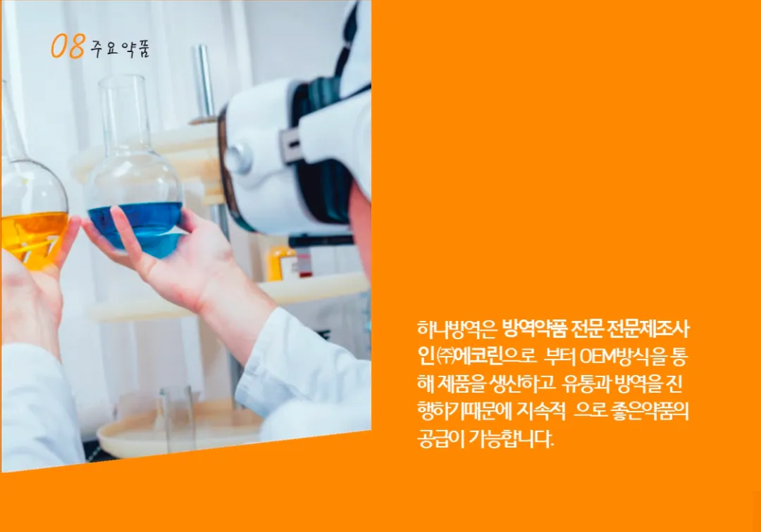 이미지 12