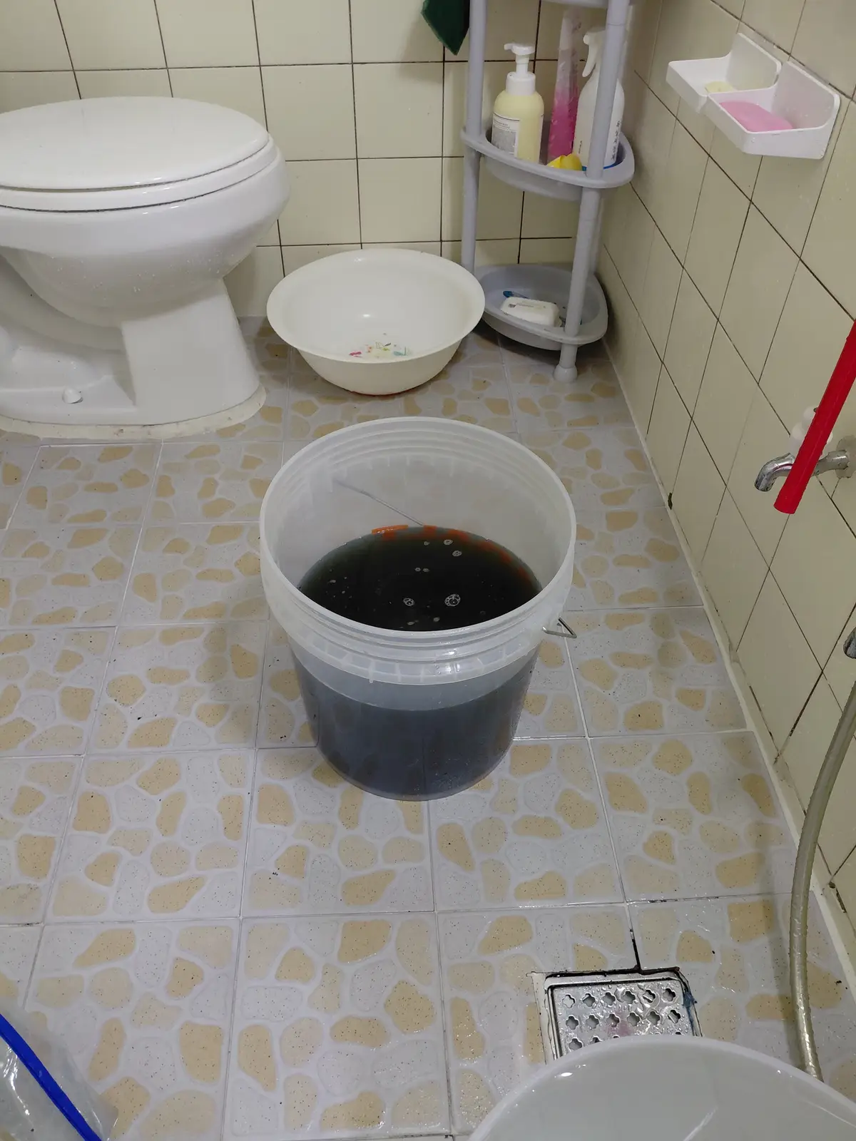 이미지 8