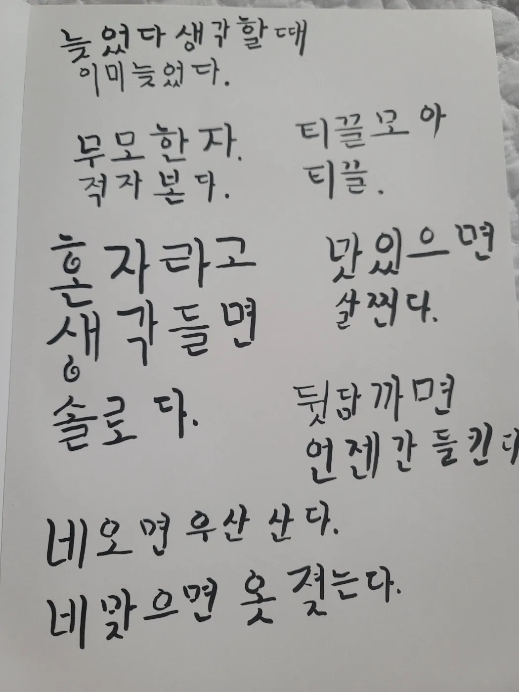 이미지 5