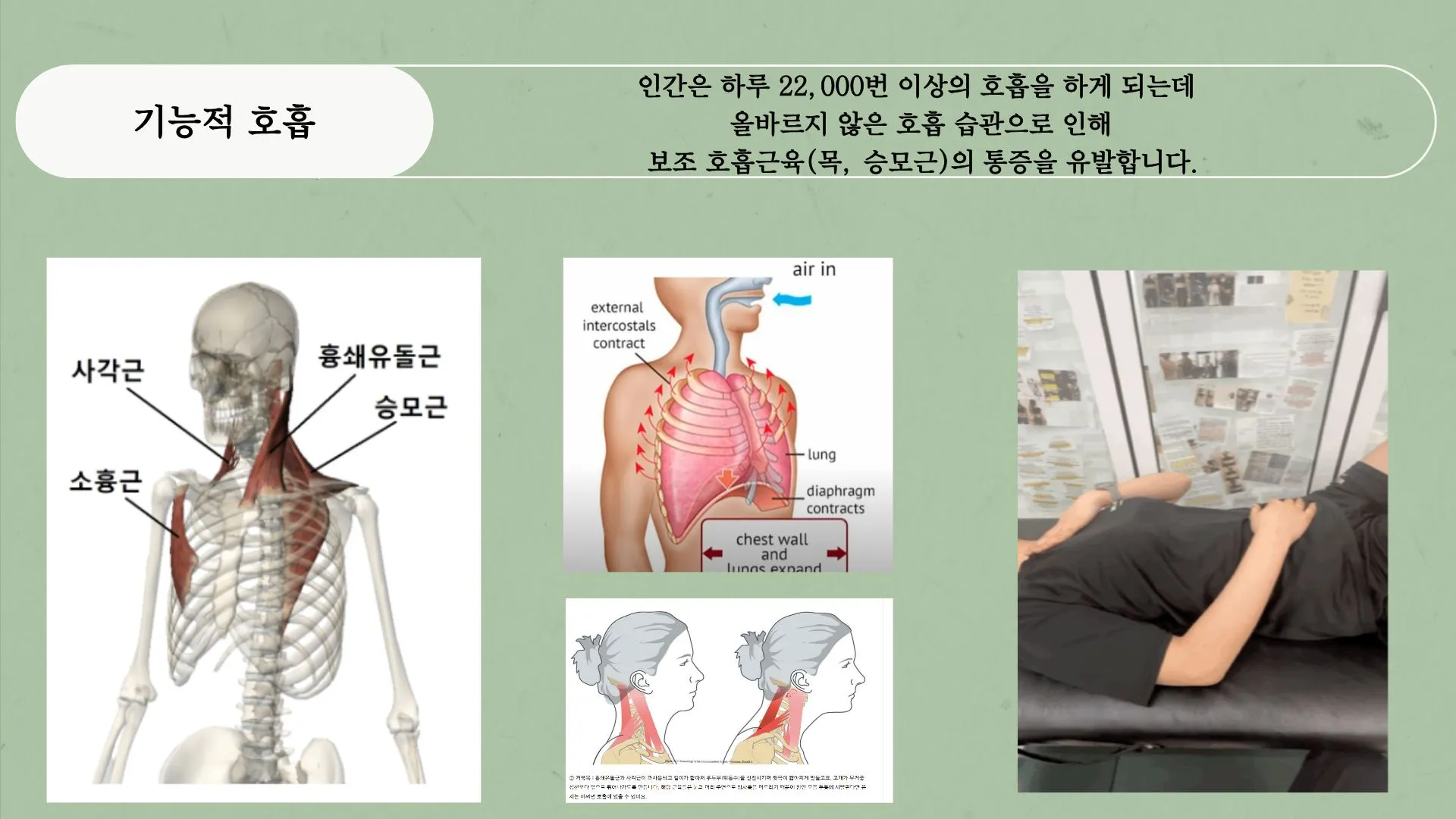 이미지 12
